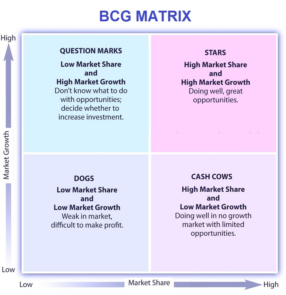 Bcg Matrix Sample