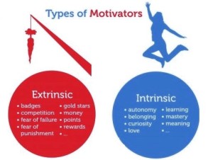 intrinsic motivation