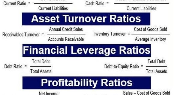 Accounting Ratios Description