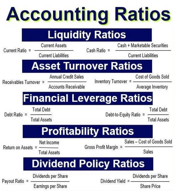 Accounting Ratios Description