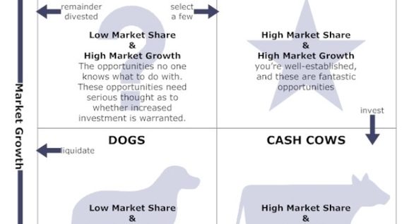 BCG Matrix Analysis