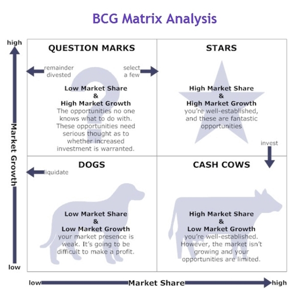 BCG Matrix Analysis