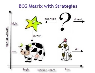 BCG Matrix with Strategies