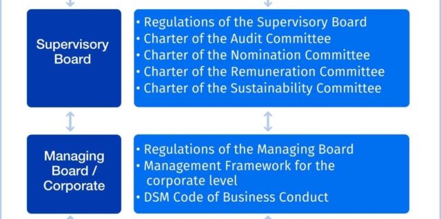 DSM Governance Framework