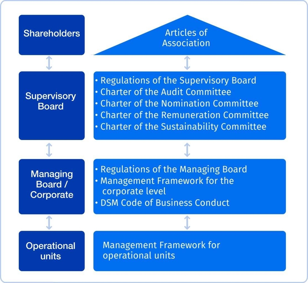 DSM Governance Framework