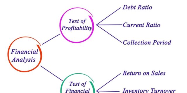 Financial Ratio Analysis