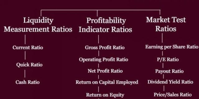 Financial Ratios