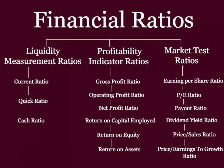 Financial Ratios