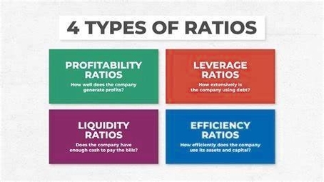 Financial ratios for business health