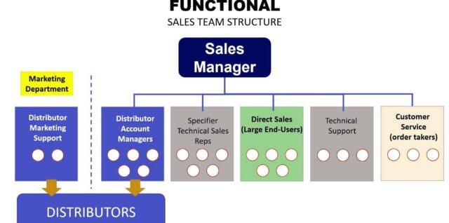 Functional Sales Structure