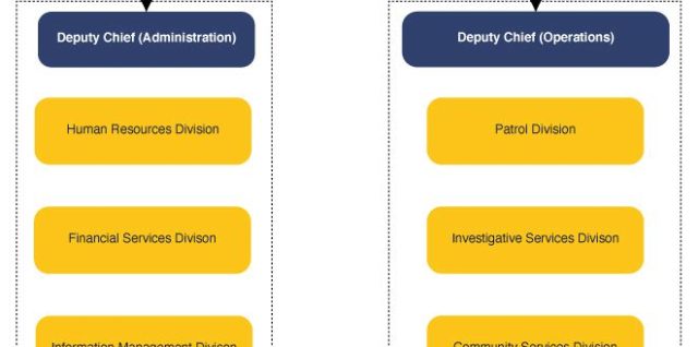 Leadership org structure