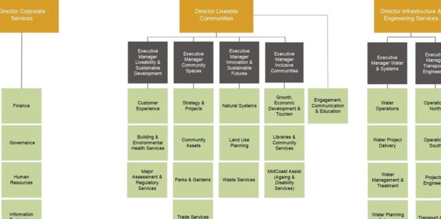 Leadership structure example