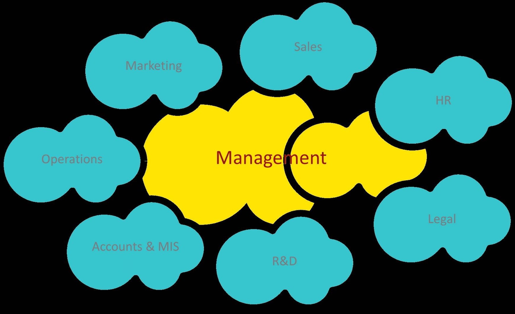 Management model