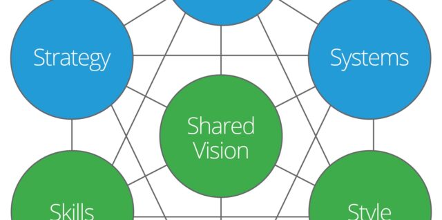 McKinsey 7S Framework