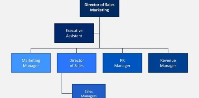 Sales and Marketing Org Chart Template