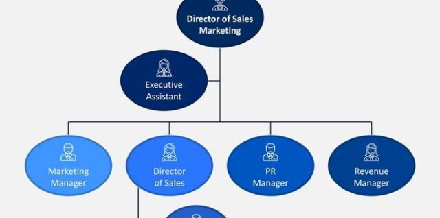 Sales and Marketing Organization Chart