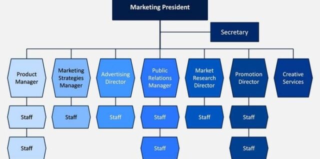 Sales and Marketing Organization Chart Description