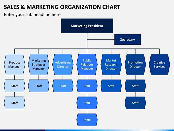 Sales and Marketing Organization Chart Description