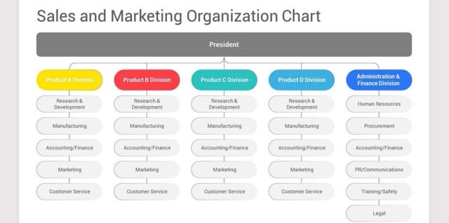 Sales and Marketing Organization Chart Template