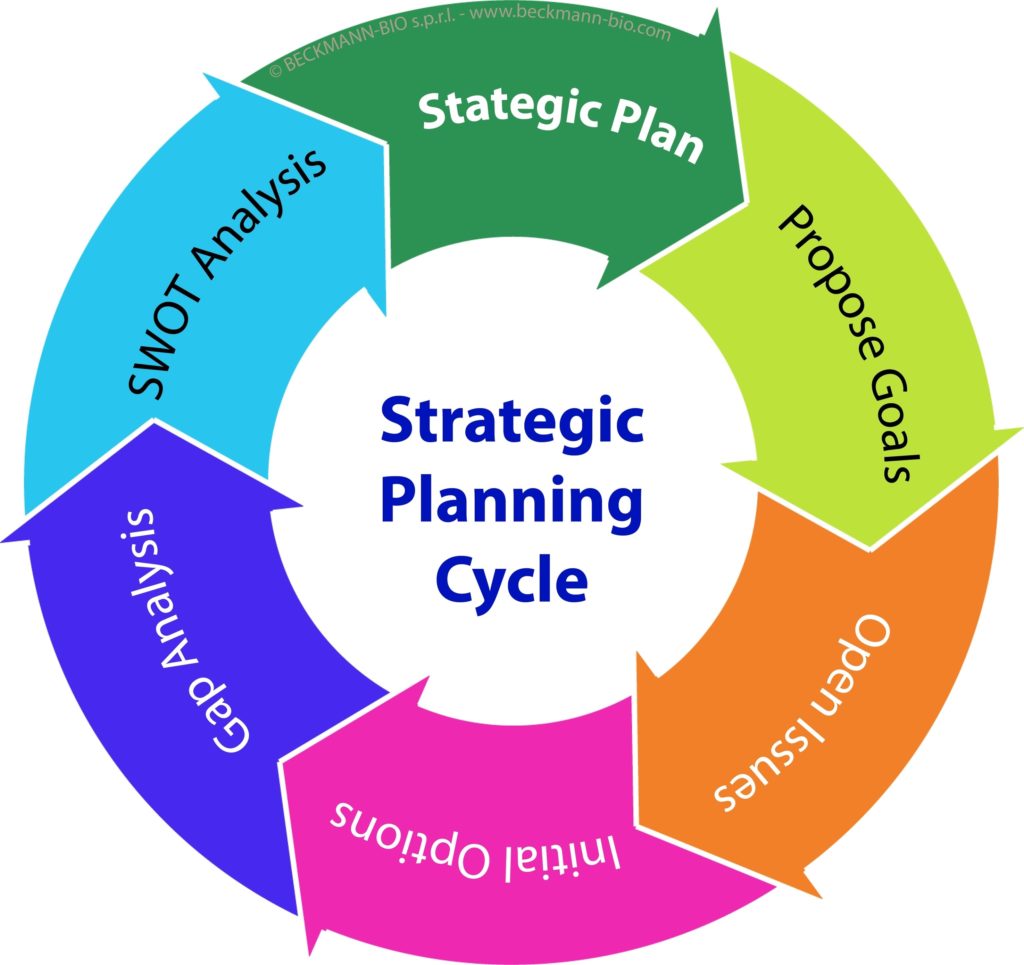 Strategic Planning Cycle