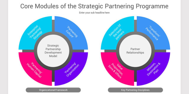 Strategic partnership development