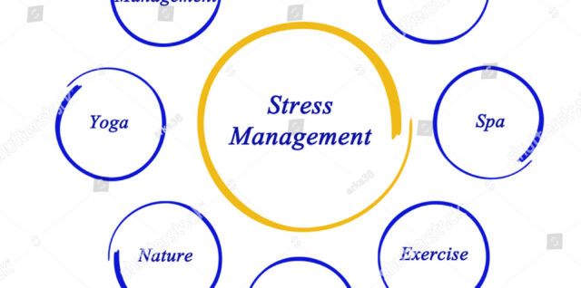 Stress Management Diagram Explanation