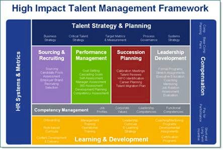 Talent management models