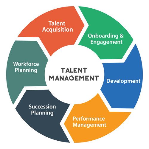 Talent management vs human resource management