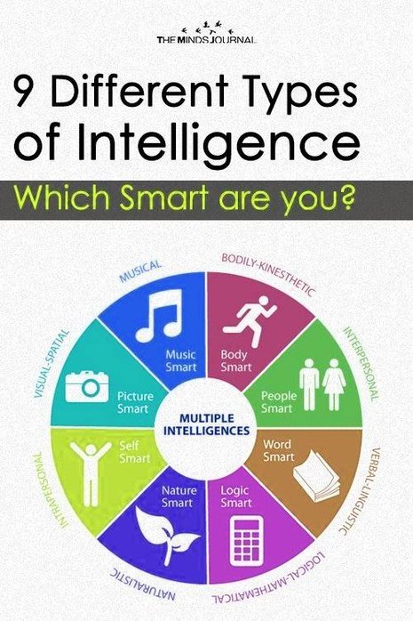 Types of Intelligence Diagram