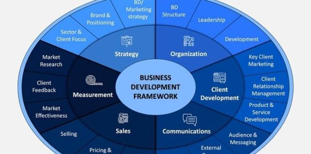 framework of new business development